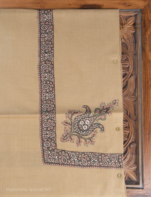 Pashmina Special - 8738