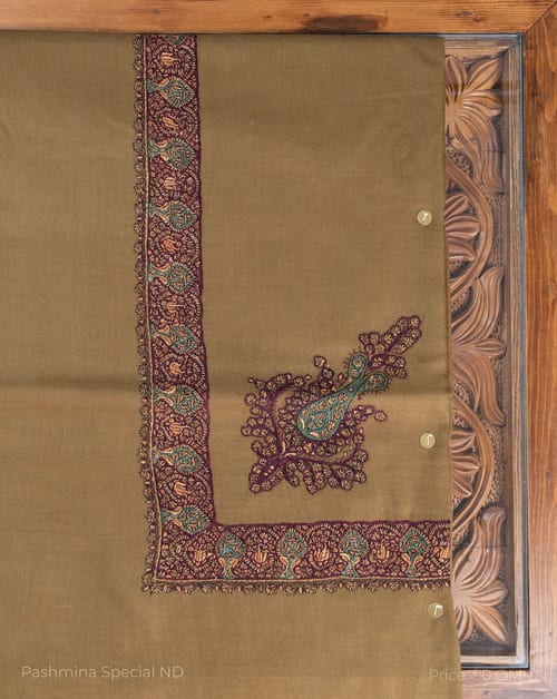 Pashmina Special - 8742
